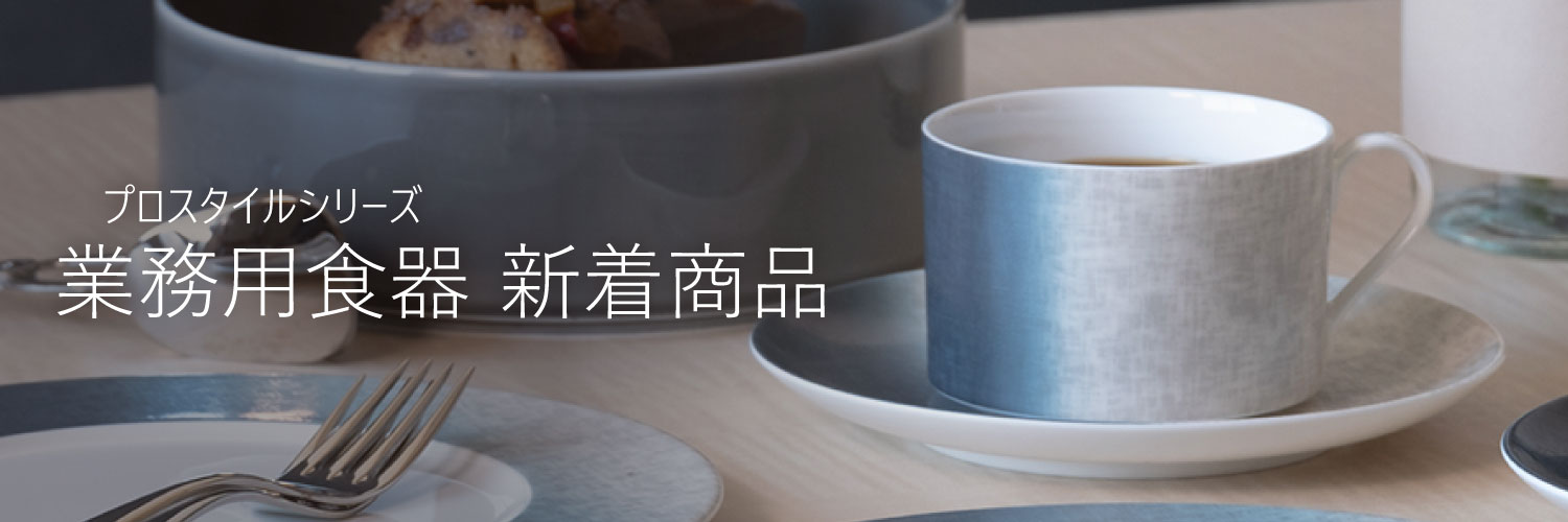 プロスタイル ( 業務用食器 ) 新着商品