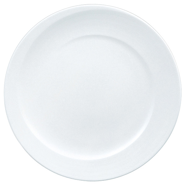 30cmｻｰﾋﾞｽﾌﾟﾚｰﾄ