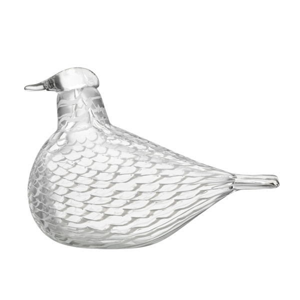 ﾒﾃﾞｨｴｰﾀｰﾄﾞｰﾌﾞ