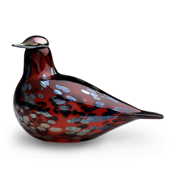 ｺﾏﾄﾞﾘ(ｸﾗﾝﾍﾞﾘｰ)