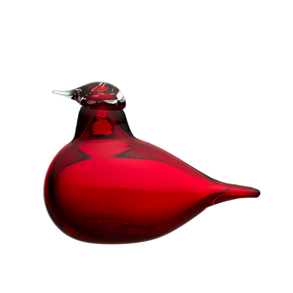 ｺｱｼﾞｻｼ(ｸﾗﾝﾍﾞﾘｰ)