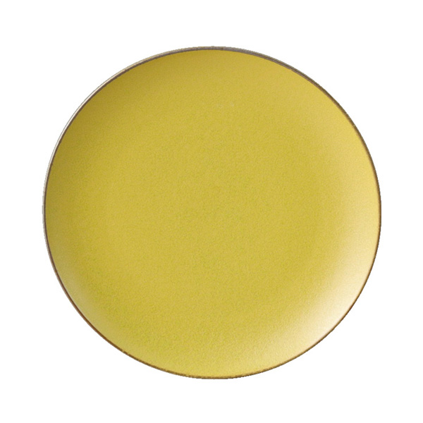 ﾏｽﾀｰﾄﾞ23cmﾌﾟﾚｰﾄ