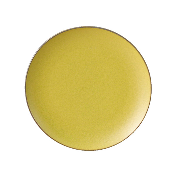 ﾏｽﾀｰﾄﾞ17cmﾌﾟﾚｰﾄ