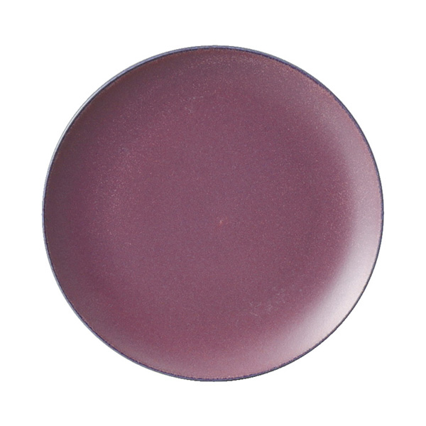 ﾊﾞｲｵﾚｯﾄ23cmﾌﾟﾚｰﾄ