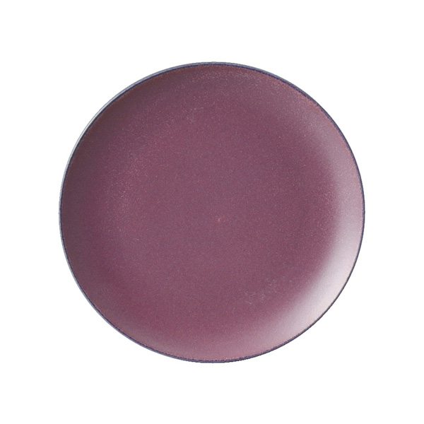 ﾊﾞｲｵﾚｯﾄ17cmﾌﾟﾚｰﾄ