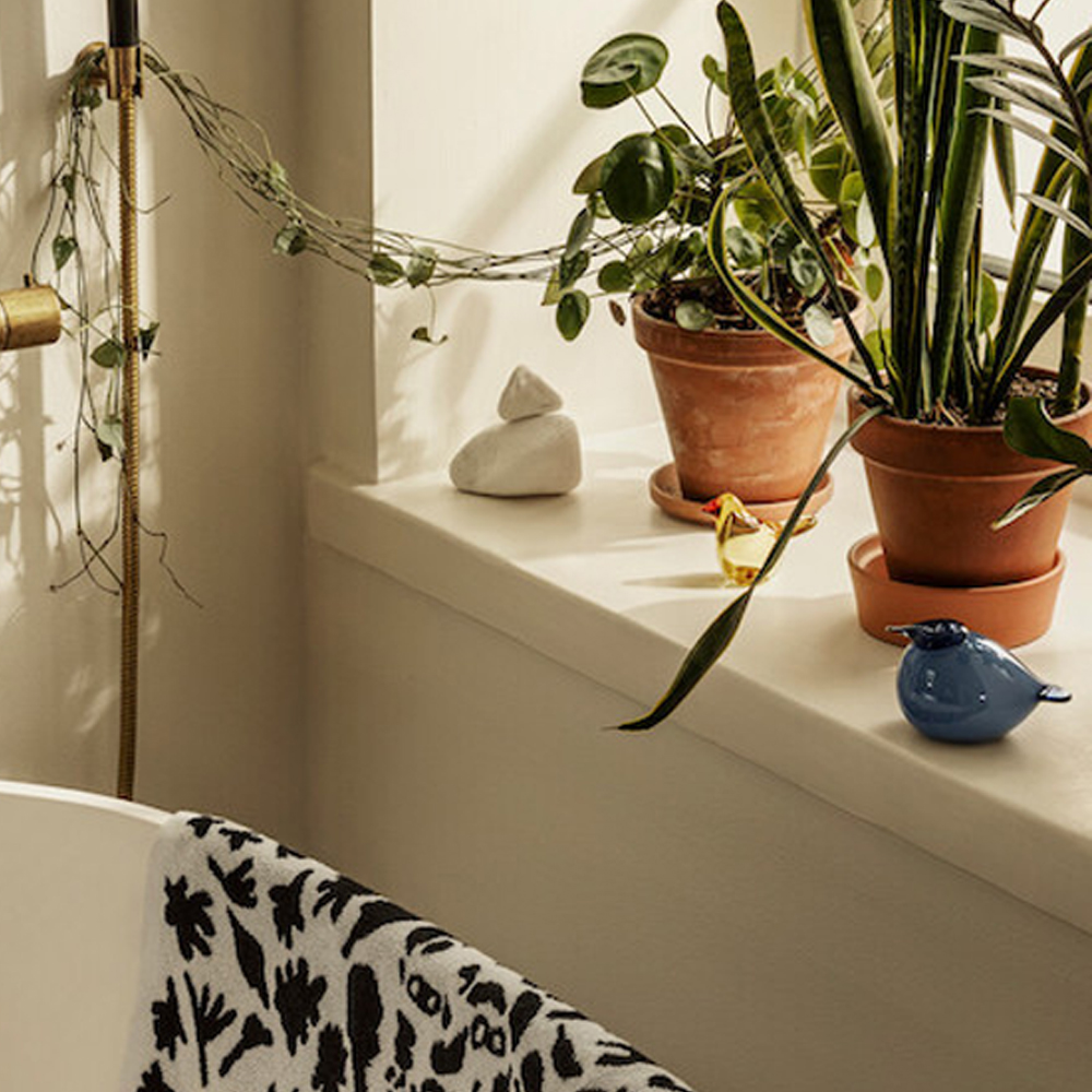 クーラス(レイン)