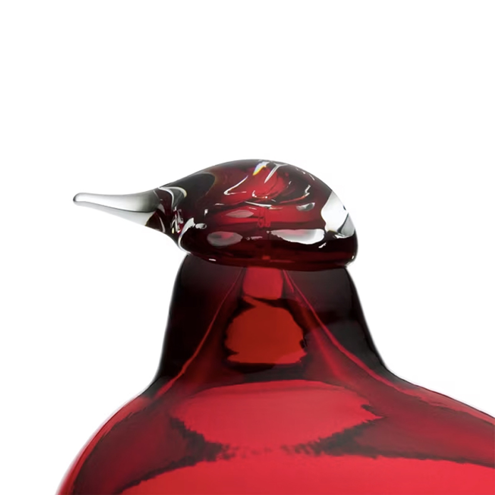 コアジサシ(クランベリー)