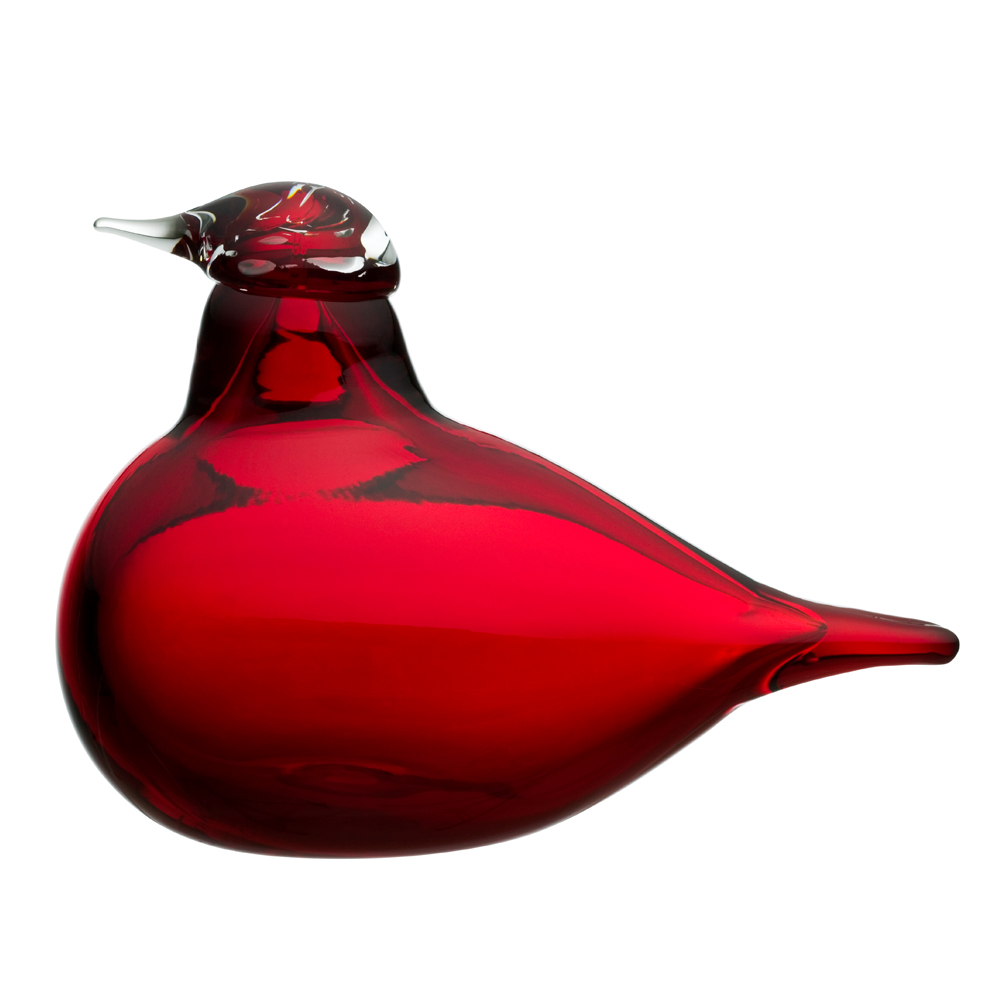 コアジサシ(クランベリー)