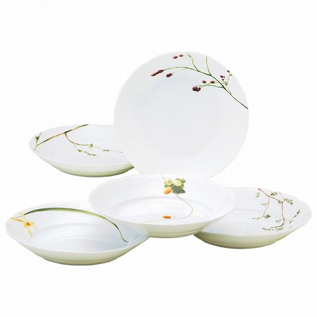 里花暦(さとはなごよみ) カレー＆パスタプレート(アソート) 21cm 5点セット 電子レンジ温め対応 (40912-32842)