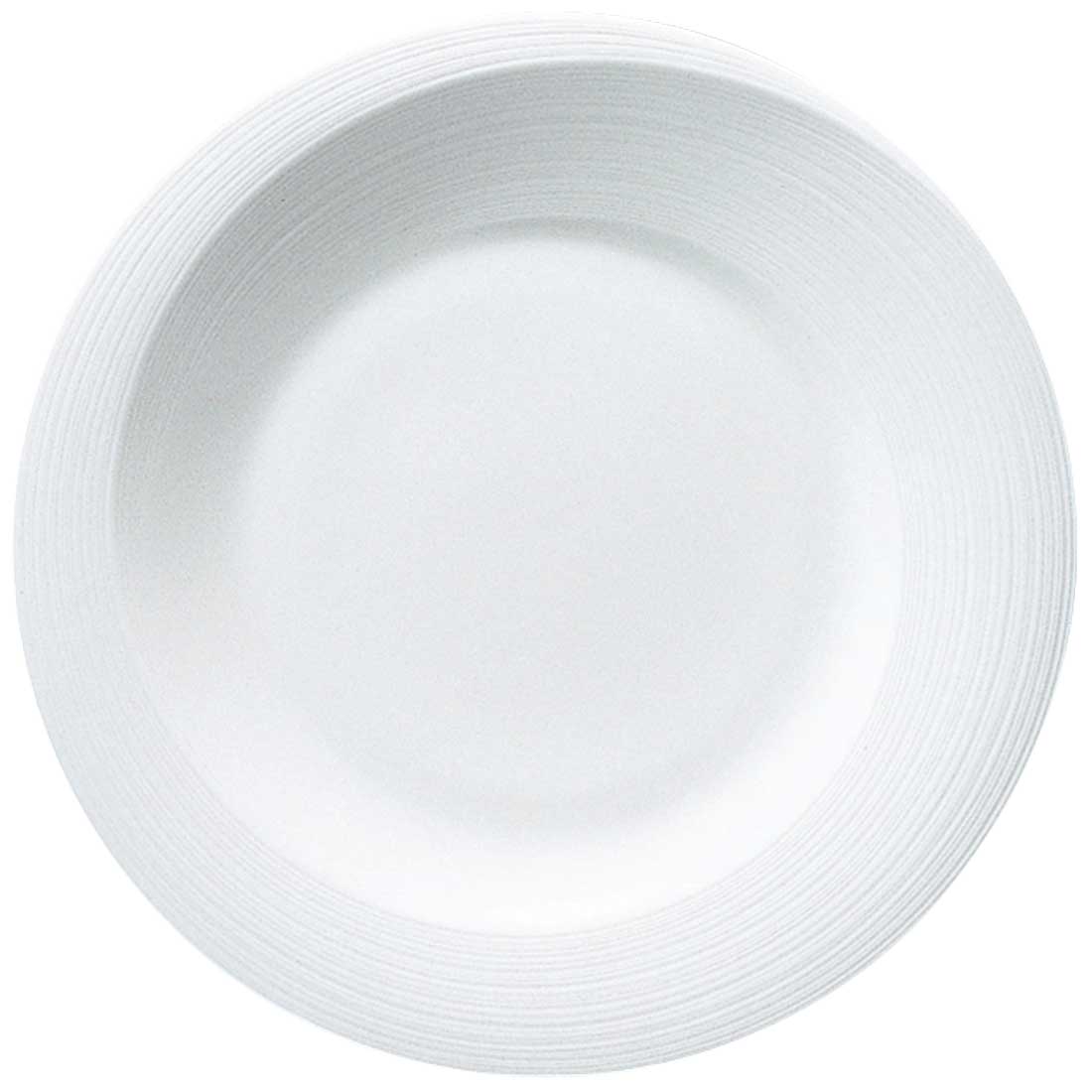 エスプリ マット&シャイン ディナープレート 27cm 電子レンジ温め 食洗機対応 (50767-BB2687)