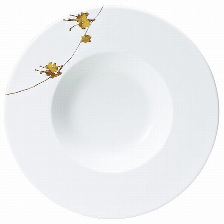 プロスタイル ワイドリムスーププレート 25cm (51696-5239)