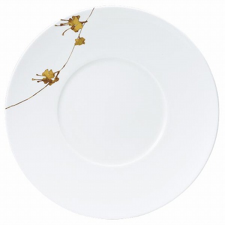 プロスタイル ワイドリムプレート 24cm (51696-5665)