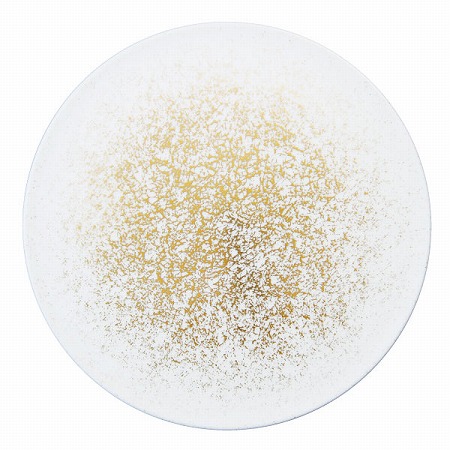 プロスタイル フラットプレート 26cm (52136-1866)