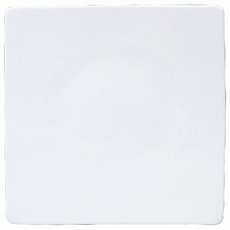 プロスタイル スクエアプレート 27cm (92626-5270)