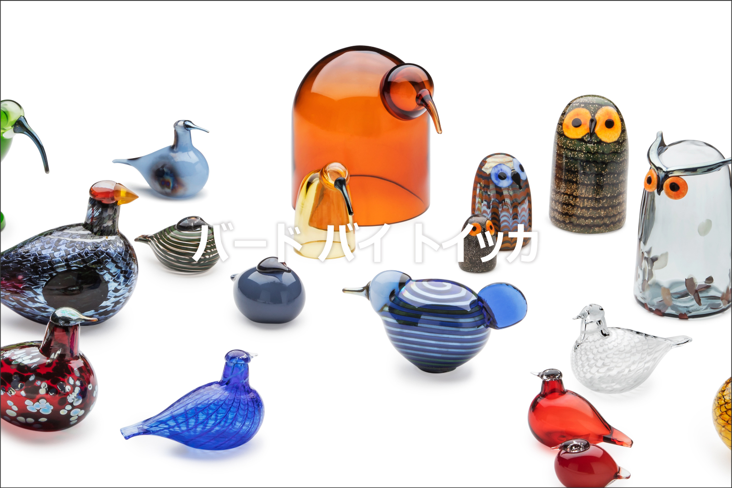 バードバイトイッカ