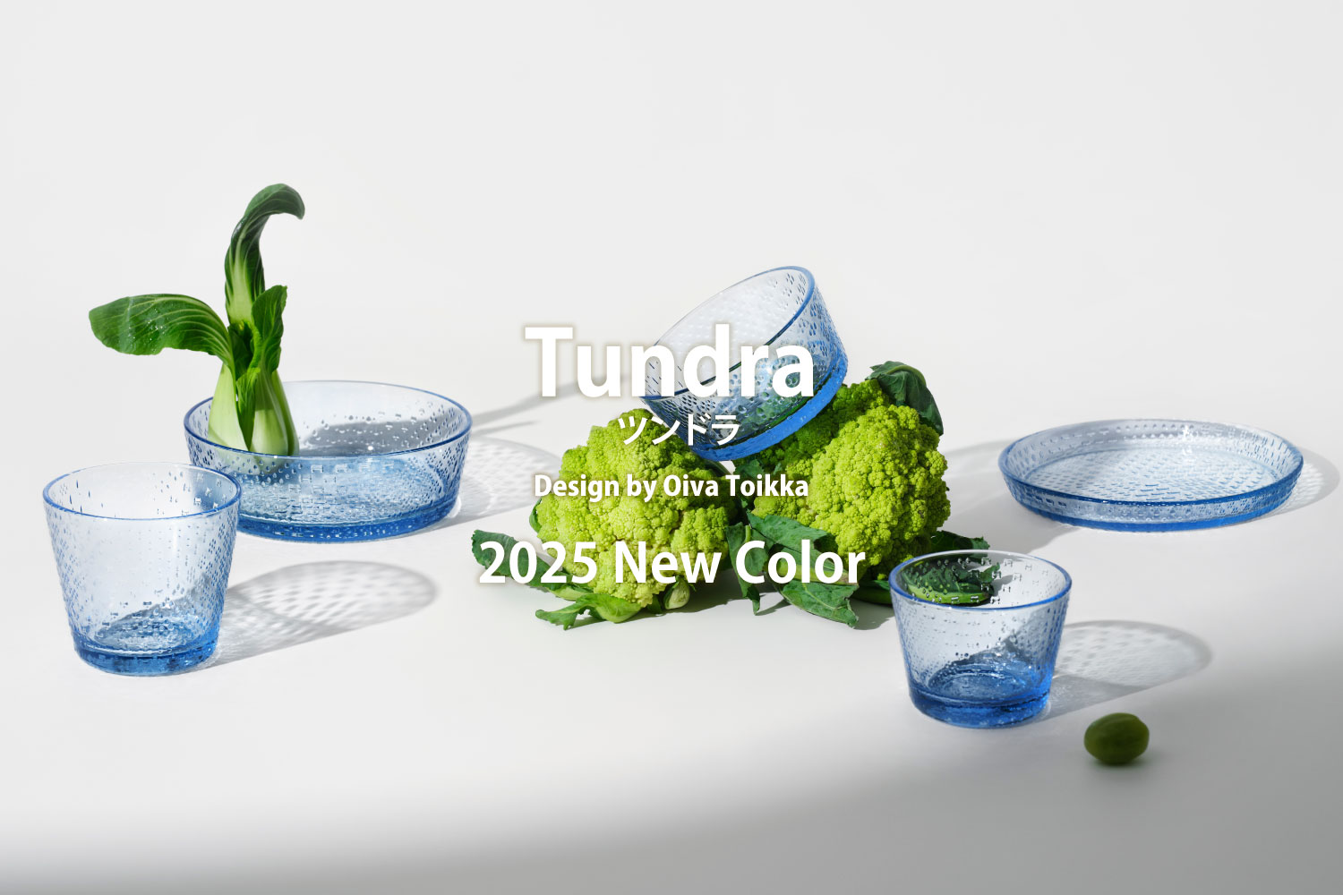 iittala ツンドラ tundra 2025 new color