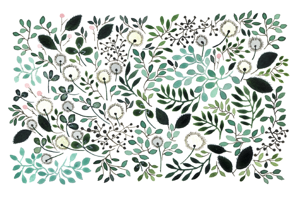 ミッドサマーメド―